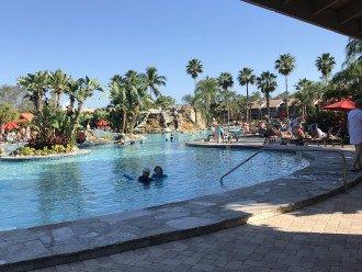 Falling Waters - largest heated swimming pool in SW Florida