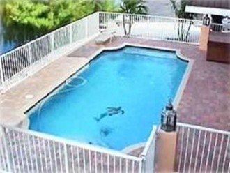 7 NIGHT MINIMUM The Perfect Getaway with Pool, Jacuzzi and Boat Slip #1