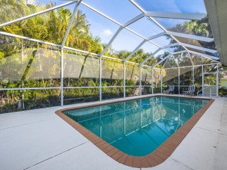 Pet - friendly Fenced in Yard with Heated Pool - Villa Eagle View - Cape #1