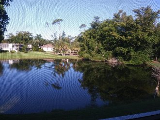 View across lake from lanai