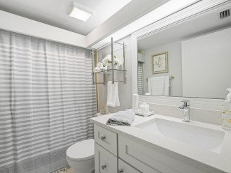 Guest bath - all new, updated bathroom - walk in shower - May 2022