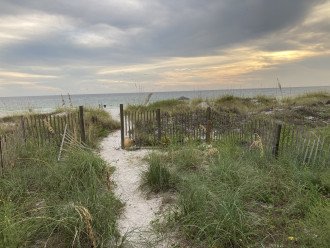 BEACH SAND YARD, SEA OATS GRASS, IS PROTECTED by the STATE OF FLORIDA #27