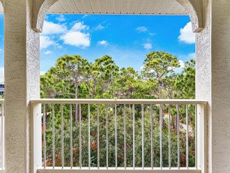 Private Pool, Pet-friendly, less than 5 minute walk to beach! #24