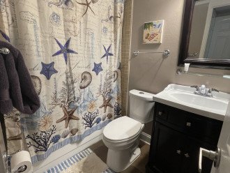Guest bathroom with tub shower