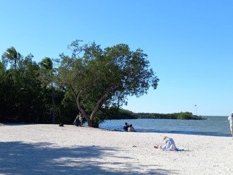 Founder's park beach