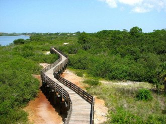 Boca Ciega Millennium Park close to our property with a lookout tower