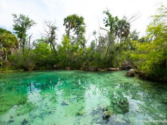 Many nearby natural Springs for swimming and snorkeling