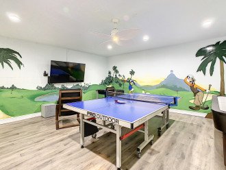 Play Ping Pong And Play Video Games On 65" Television With PS4