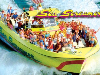 You’ll see not just dolphins but fascinating sights and points of interest as you cruise along the Emerald Coast on the Sea Screamer Cruise, just 5.7 miles from the condo.