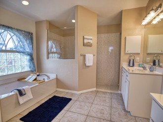 Master bath with double vanity, whirlpool tub, and walk-in shower.