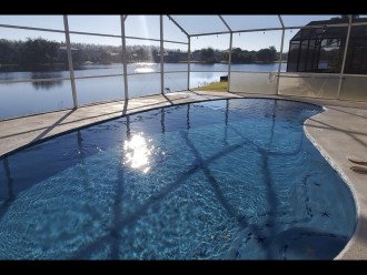 Electric Heated Private Pool in a 4 Bed 3 Bath 2 Story Home #1