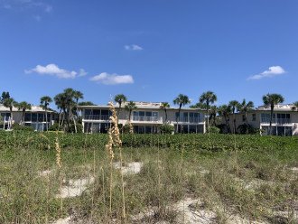 Gulfside Ocean Paradise - Stellar Views and Steps to Gulf of Mexico #3