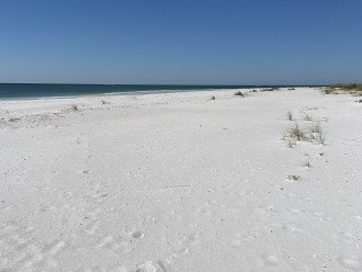 Gulfside Ocean Paradise - Stellar Views and Steps to Gulf of Mexico #20