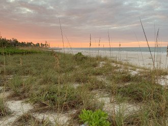 Gulfside Ocean Paradise - Stellar Views and Steps to Gulf of Mexico #19