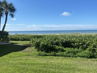 Gulfside Ocean Paradise - Stellar Views and Steps to Gulf of Mexico #18