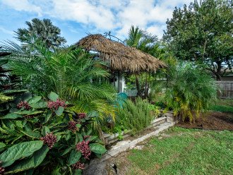 St. Pete Beach House - Jungle Oasis - Pet Friendly #1