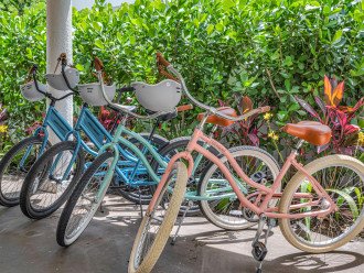 Four bikes, two paddle boards and beach gear is available for guests' use