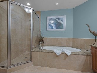 Large Primary bath with walk in shower and jacuzzi tub