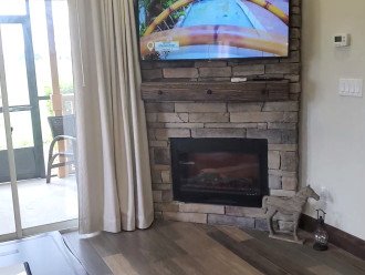 TV and Fire Place