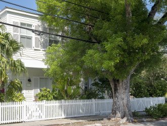 Sanctuary Retreat, Island Vibe, Downtown Key West Charm with Fall Specials @ #24