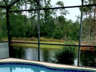 Paradise Cove - Waterfront - Conservation - 6 miles from Disney #1