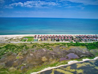 Pet Friendly, Beach Front, Swimming Pool, St George Island #41