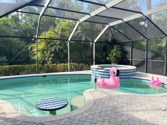 The Flamingo House #1