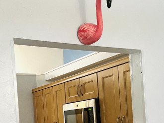 The Flamingo House #17