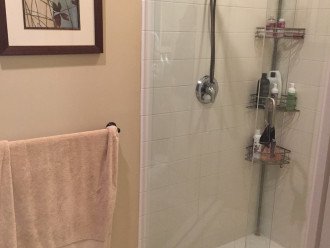 Master suite shower.
