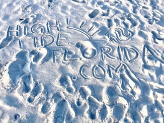 New Management! Incredible Gulf-Front Views at Tidewater PCB! #34