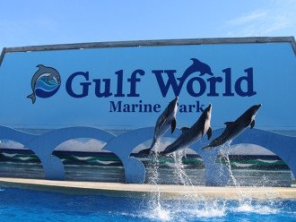 Gulf World marine park