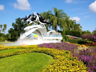 Find many Attractions in Orlando