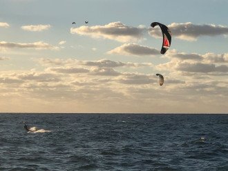 Pompano Beach offers a separate area for "non motorized water sports" bring your kite or your chair, to Enjoy Kite Surfing, or enjoy the "dance" show of these modern day adventure seekers.