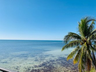 Balmy Ocean Breezes Island Sunrises Afternoon Poolside Fun & Key West charm #3