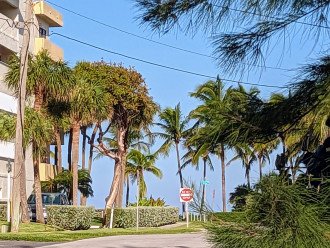 The Deerfield Beach Boardwalk starts right here! One block from our north driveway.