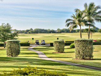 2 Championship Golf Courses Located Steps from the Condo! The Mustang and the Flamingo Golf Courses are Public; Free Golf in the Summer Months (Ask when Booking)!