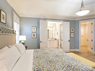 Master Bedroom with king size bed, tv, walk-in closet and master bathroom