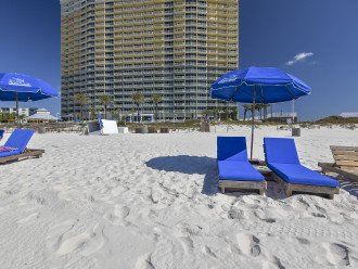 Beach Chair Rentals