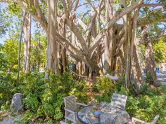 Banyan Tree Bungalows- Old Florida charm