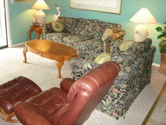 Living room with sleeper sofa