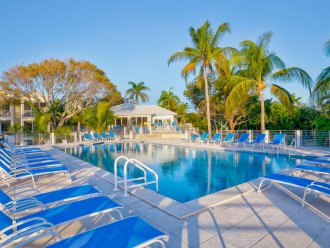 Spectacular Lagoon Pool and Oceanview! 407 Mariners Club Key Largo #23