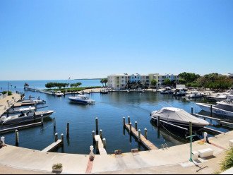 Breathtaking harbor and ocean view! Room for the whole family! 131 Mariners #1