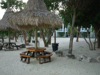 Oasis Vacation! 406 Mariners Club Key Largo #21