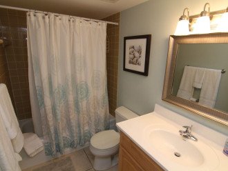Updated master bathroom with Tub/Shower combo