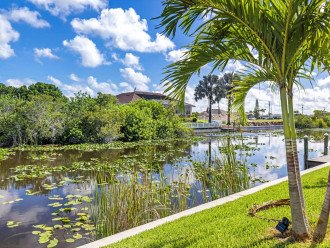Freshwater canal home with views and Pool - A true gem! - Villa Ruby - Roelens #43