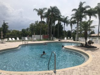 Very large wonderful pool