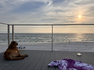 High Tunes deck view - dogs welcome and cleaned immaculately after they leave!