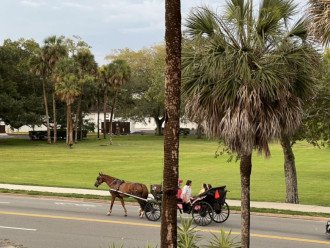 Horse and Carriage By the Fort
