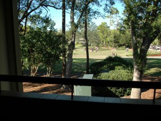 Innisbrook unit #2685 – 1 bdrm condo with a view – sleeps up to 4-5 #1