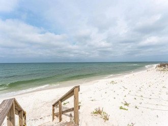 Gulf Front, Pet Friendly Paradise on the Cape #5